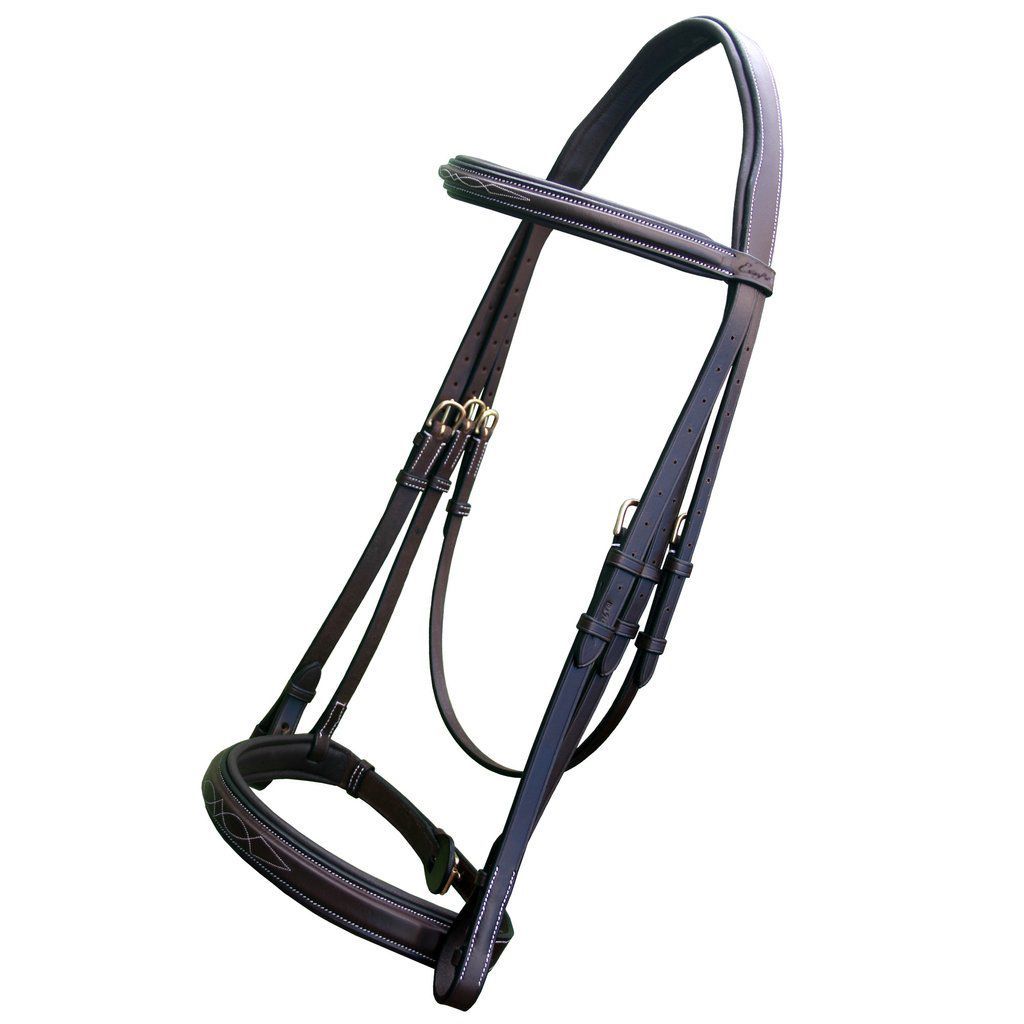 ExionPro Padded Hunter Bridle with Reins