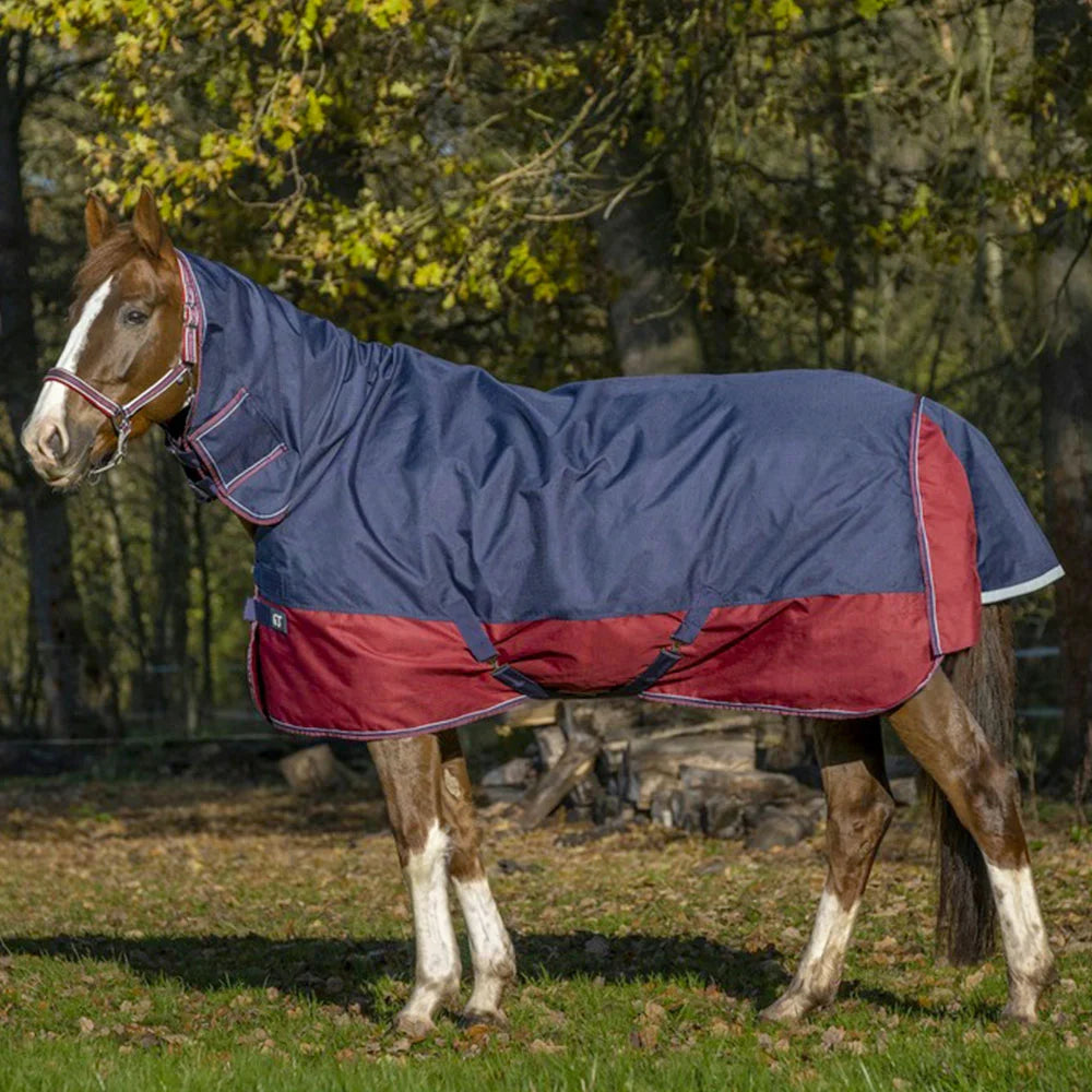 Equitheme Tyrex 1200 D Combo Turnout Rug