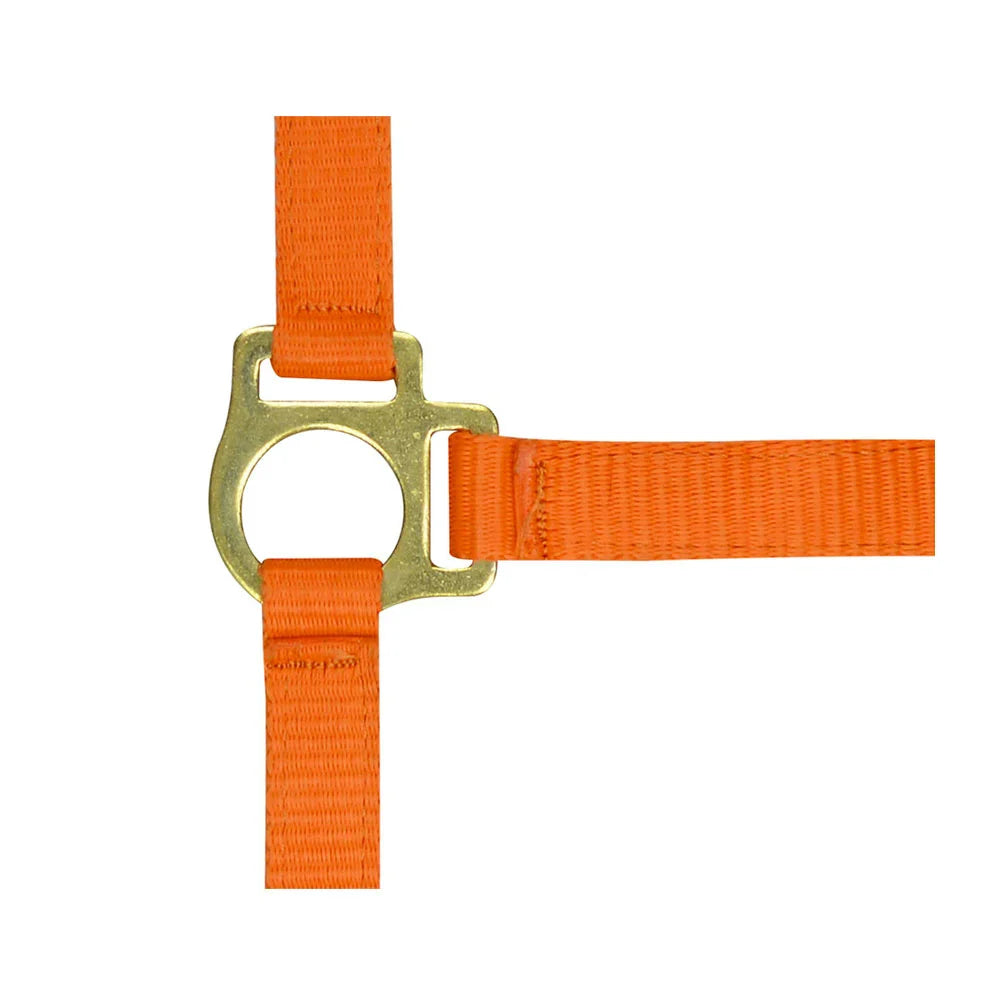 Norton Foal Headcollar + Lead Rope