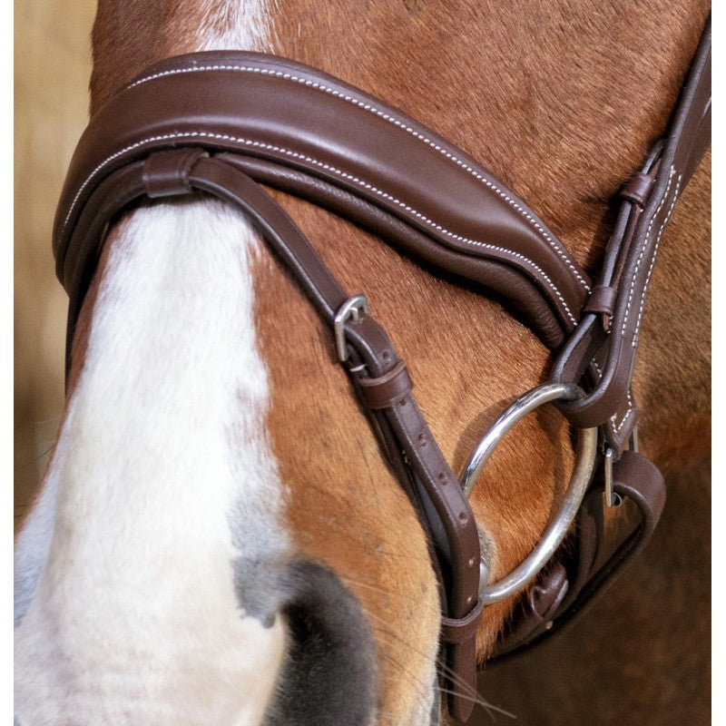 Norton Pro Miss Bridle