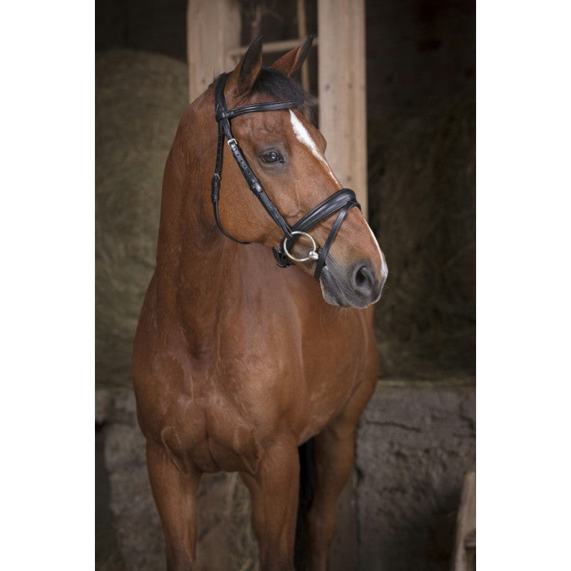 Norton Pro Soft Bridle
