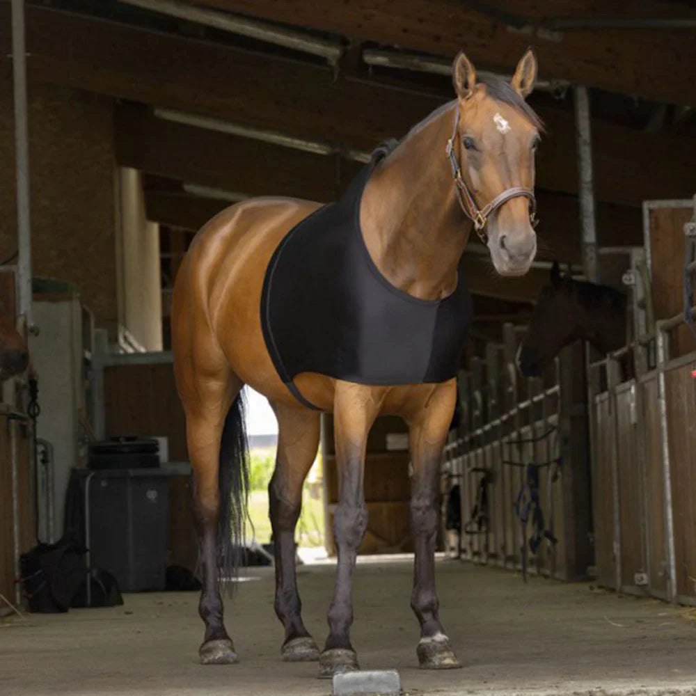 Equitheme Shoulder Protection