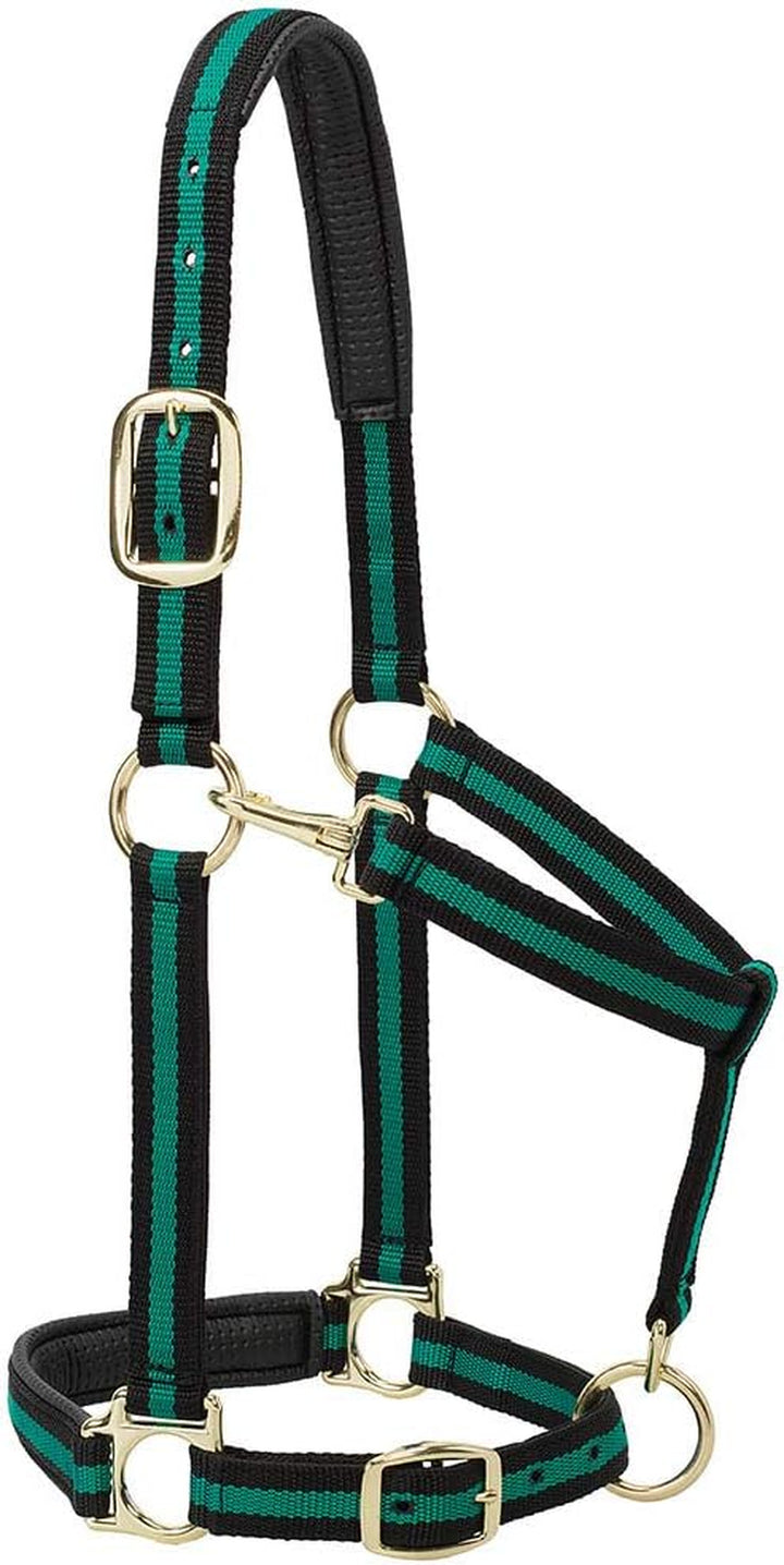 Weaver Leather Padded Adjustable Nylon Horse Halter