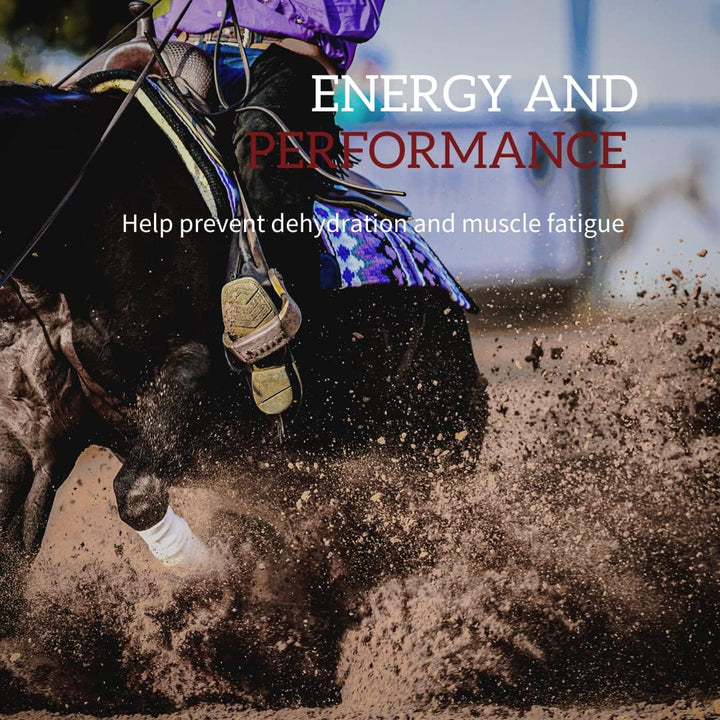 REDMOND Equine Electrolyte Paste | Electrolytes Supplement for Horses