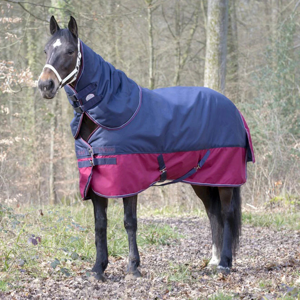 Equitheme Tyrex 1200 D Neck Cover