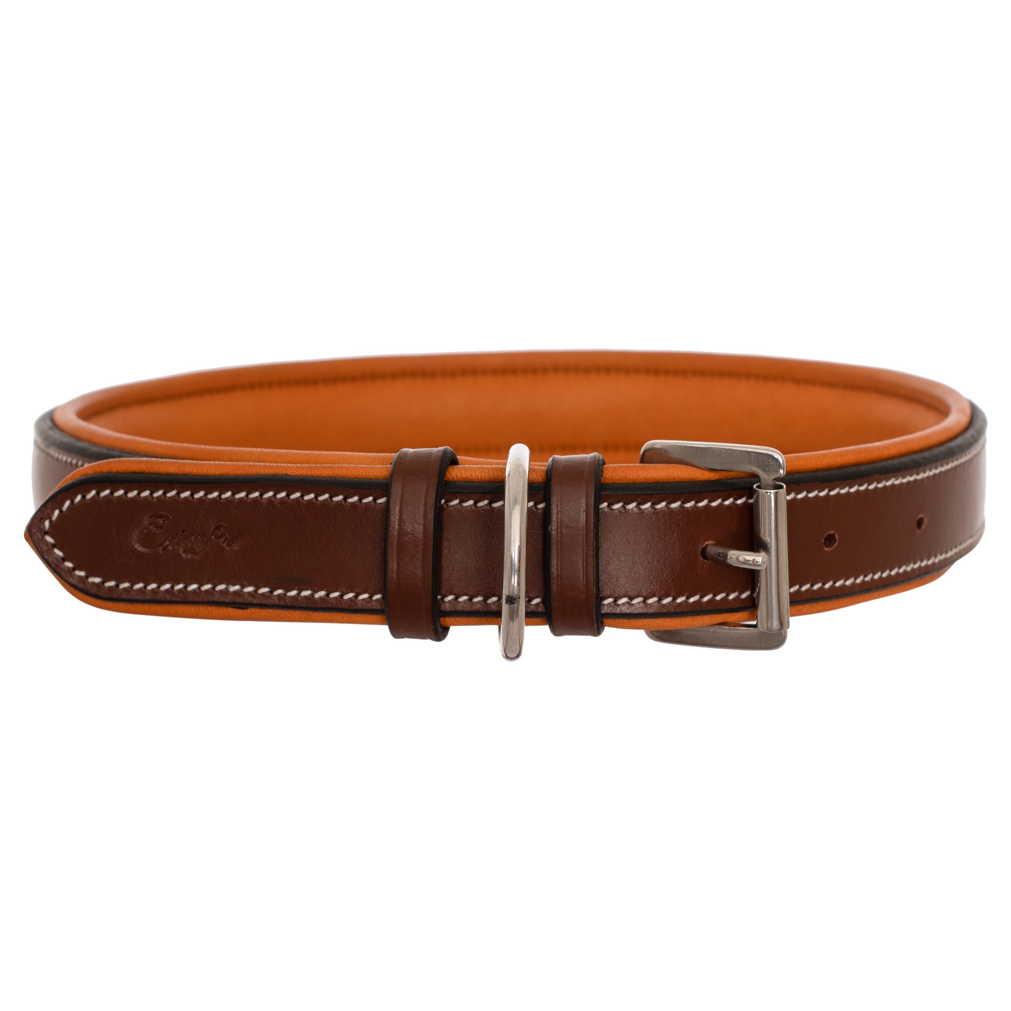 ExionPro Fancy Stitched Padded Leather Dog Collar - Conker Padding