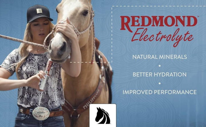 REDMOND Equine Electrolyte Paste | Electrolytes Supplement for Horses