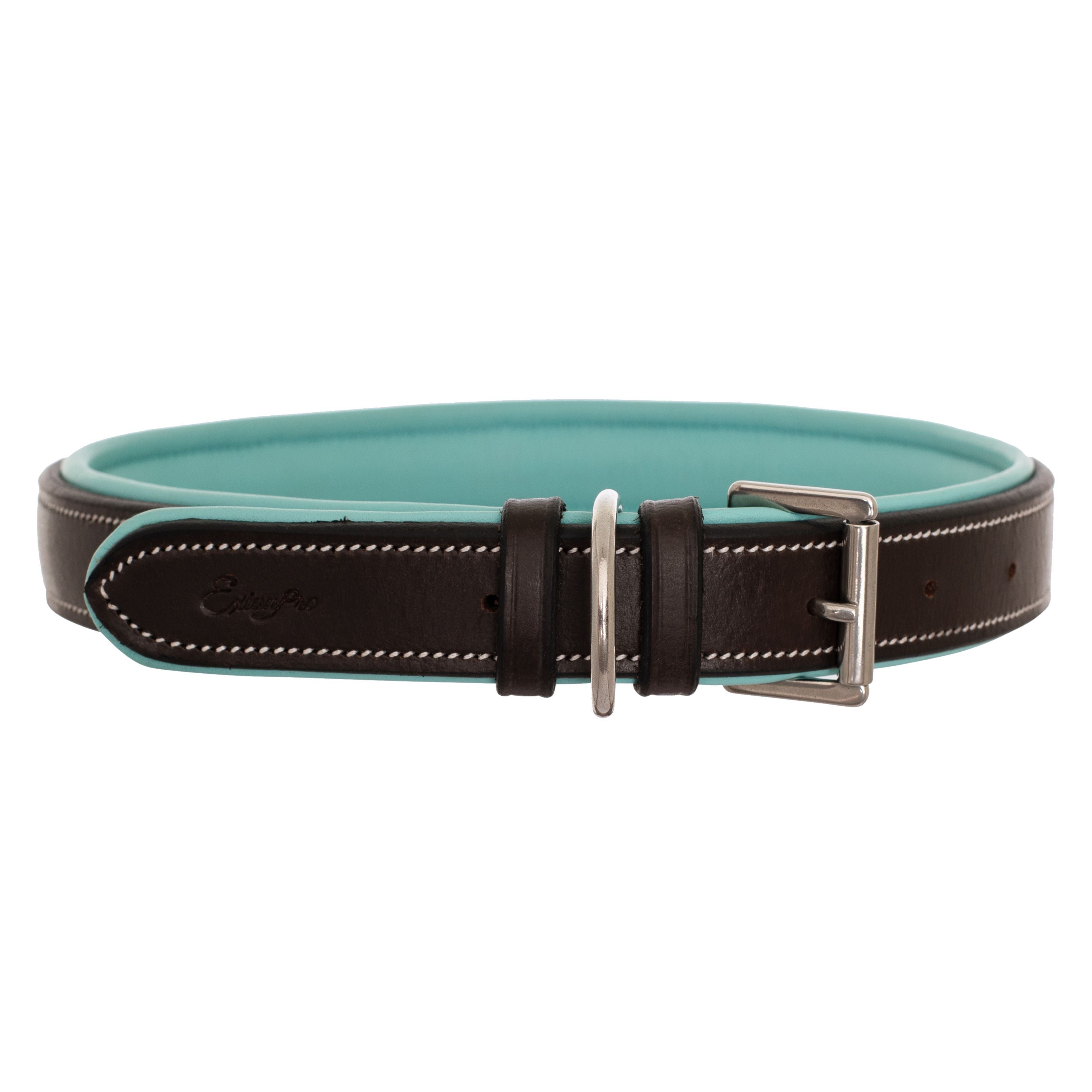 ExionPro Silver Snaffle Padded Leather Dog Collar - Sky Blue Padding