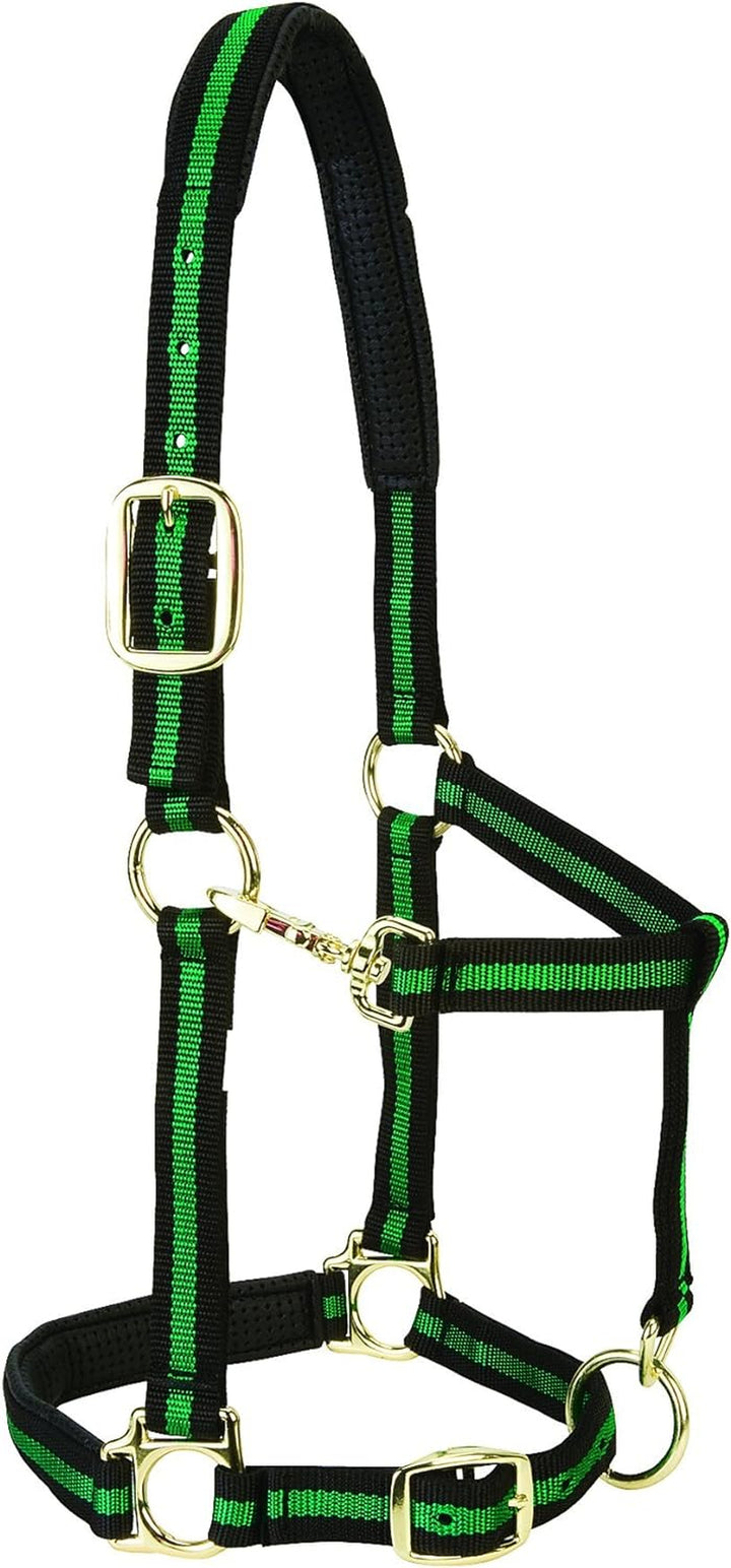 Weaver Leather Padded Adjustable Nylon Horse Halter