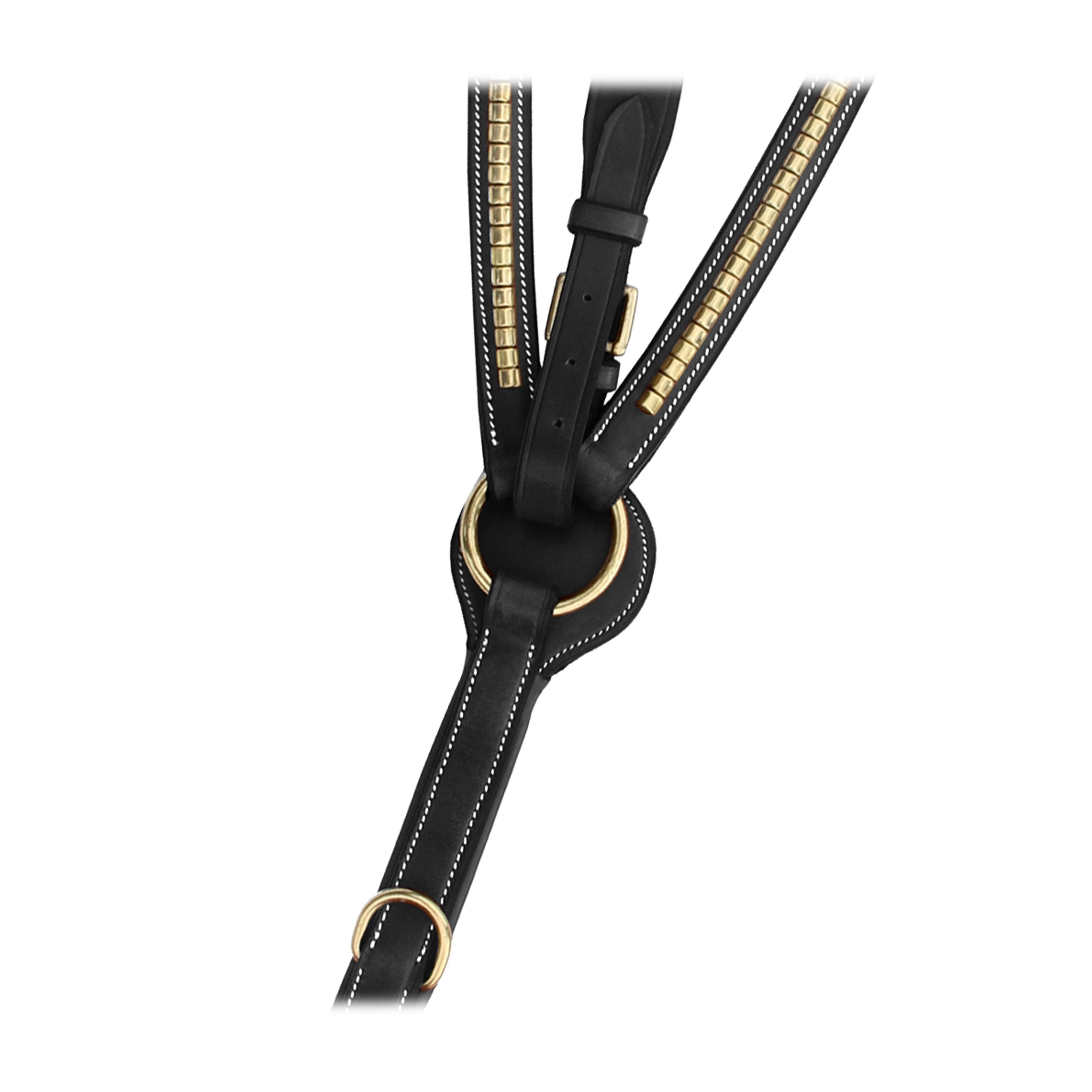ExionPro Brass Clincher Breastplate