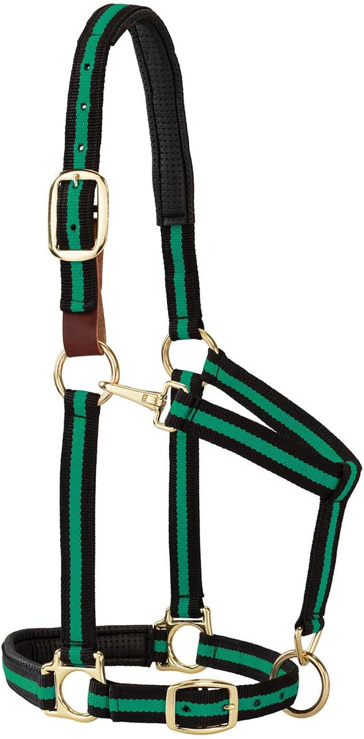 Weaver Leather Padded Breakaway Adjustable Chin & Throat Snap Halter, 1" Average Horse or Yearling Draft