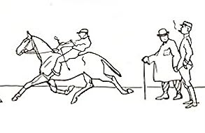 Seat, Gaits, and Reactions & The Evolution of the Position of the Rider through the Ages by Captain de Sevy