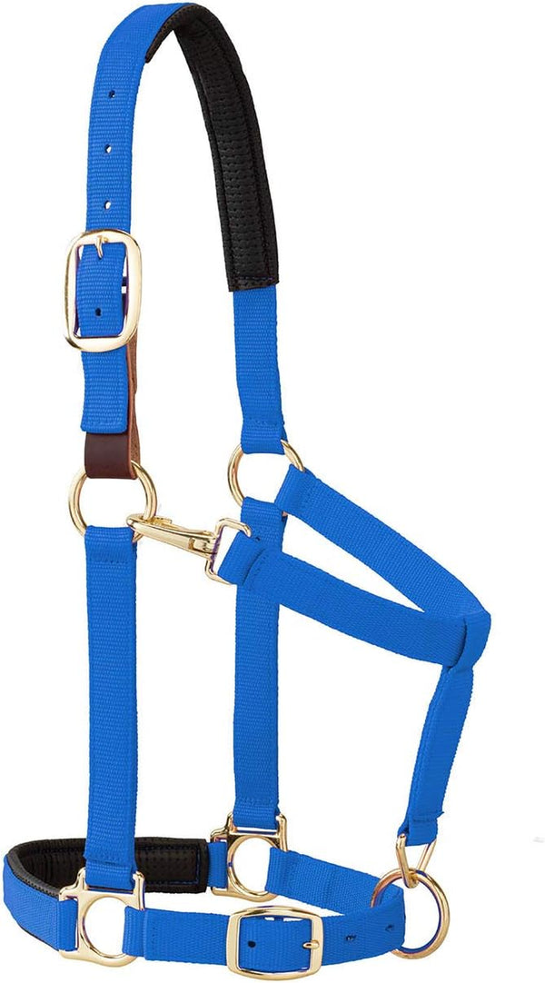 Weaver Leather Padded Breakaway Adjustable Chin & Throat Snap Halter, 1" Average Horse or Yearling Draft