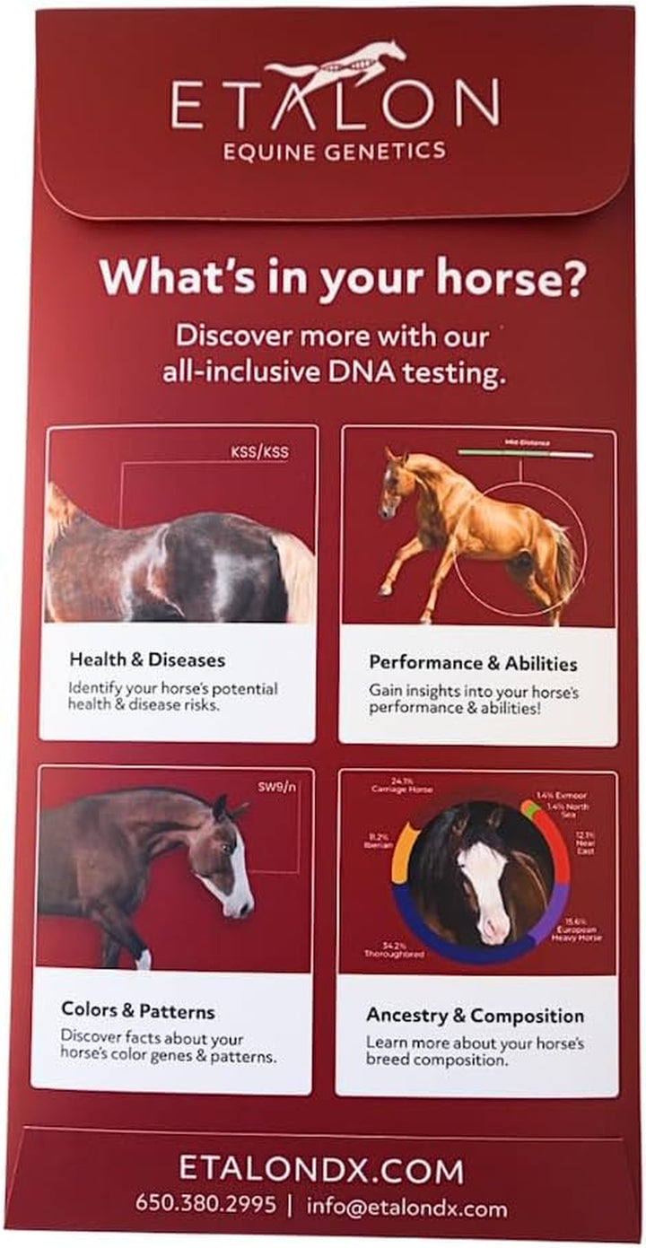 Etalon Equine Genetics Propanel + Ancestry Horse DNA Test, Genetic Testing plus Ancestry (70+ Traits) - Identify Equine Breed Composition & DNA - Test for Coat Color, Diseases, Abilities