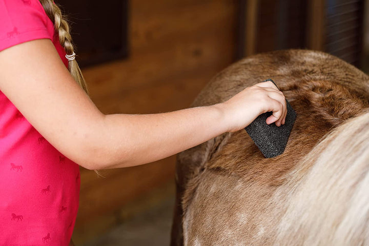 Slick 'N Easy Horse Grooming Block