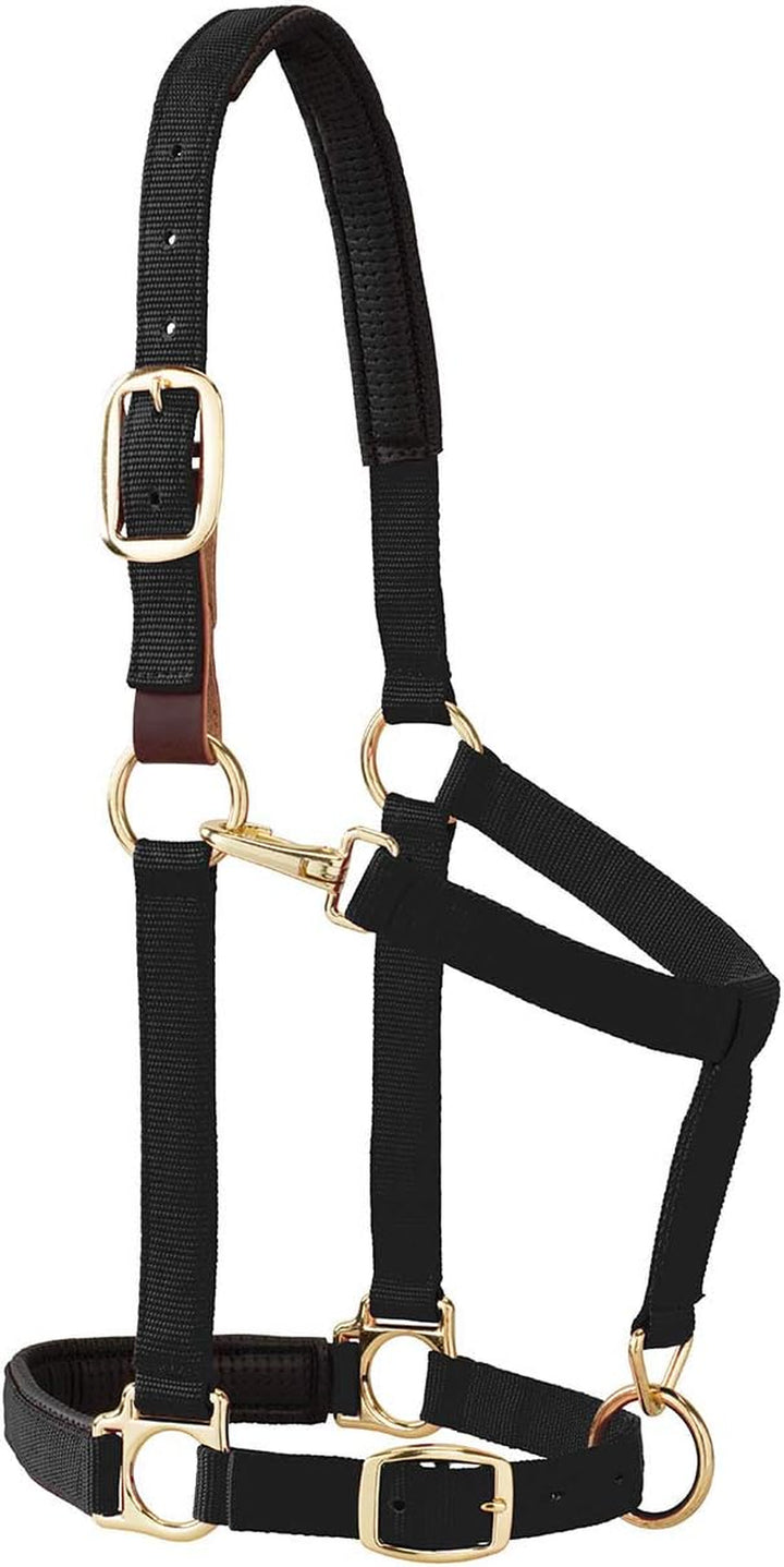 Weaver Leather Padded Breakaway Adjustable Chin & Throat Snap Halter, 1" Average Horse or Yearling Draft