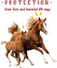Equine Fly Mask | Horse Fly Mask with UV Protection | Adjustable Fit for Comfort | without Ears