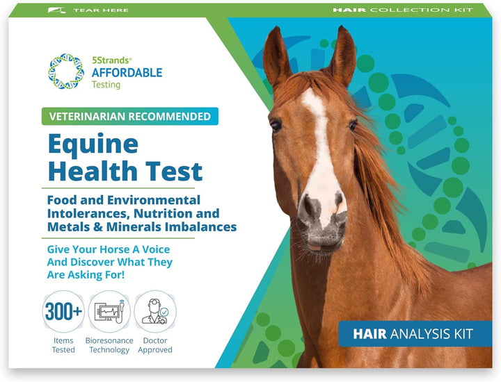 Equine Health Test, Environmental & Food Intolerance, Nutrition, Metals and Minerals Imbalances, at Home Horse Hair Sample Collection Kit, Results in 7 Days Works for All Ages and Breeds