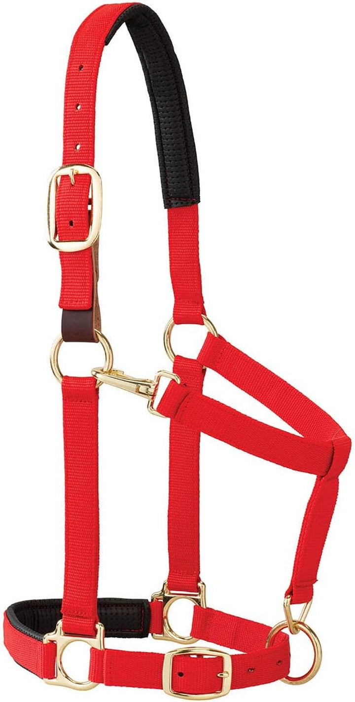 Weaver Leather Padded Breakaway Adjustable Chin & Throat Snap Halter, 1" Average Horse or Yearling Draft