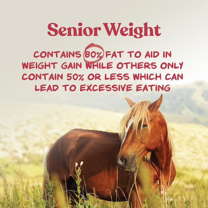 Weight Accelerator for Senior Horses - Made with Omega 3 Fatty Acids - Formulated with Flaxseed - Weight Gain Supplement for Horses - 8 Lbs