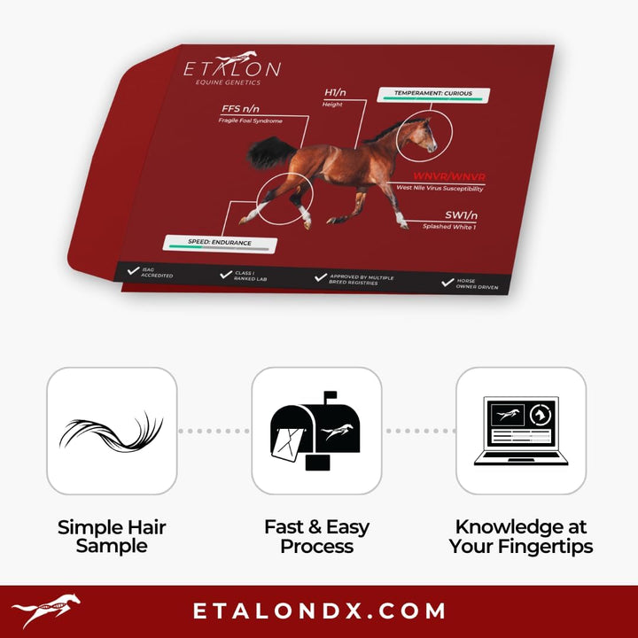 Etalon Equine Genetics Propanel + Ancestry Horse DNA Test, Genetic Testing plus Ancestry (70+ Traits) - Identify Equine Breed Composition & DNA - Test for Coat Color, Diseases, Abilities