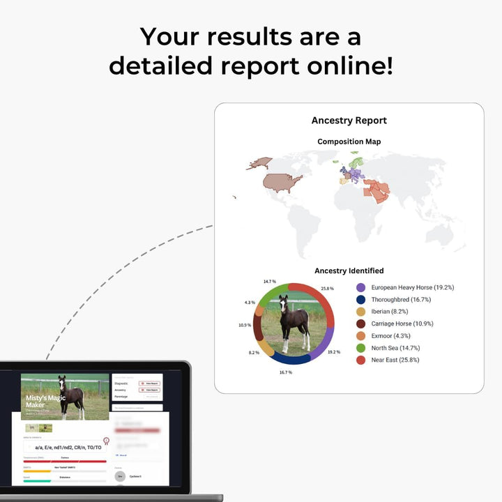 Etalon Equine Genetics Propanel + Ancestry Horse DNA Test, Genetic Testing plus Ancestry (70+ Traits) - Identify Equine Breed Composition & DNA - Test for Coat Color, Diseases, Abilities
