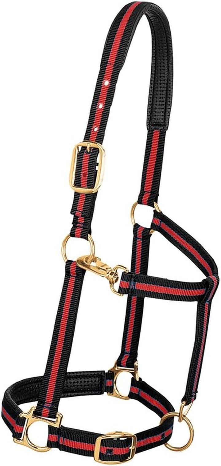 Weaver Leather Padded Adjustable Nylon Horse Halter