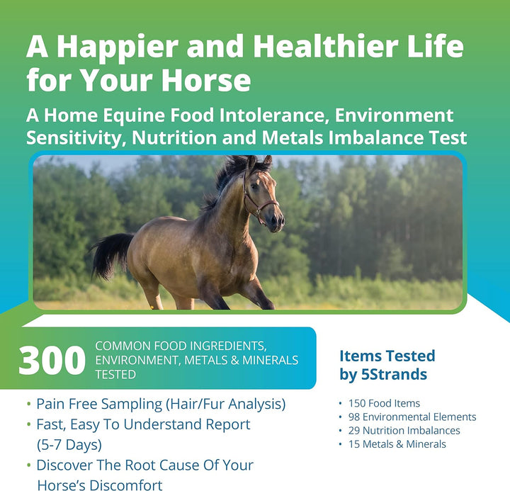 Equine Health Test, Environmental & Food Intolerance, Nutrition, Metals and Minerals Imbalances, at Home Horse Hair Sample Collection Kit, Results in 7 Days Works for All Ages and Breeds