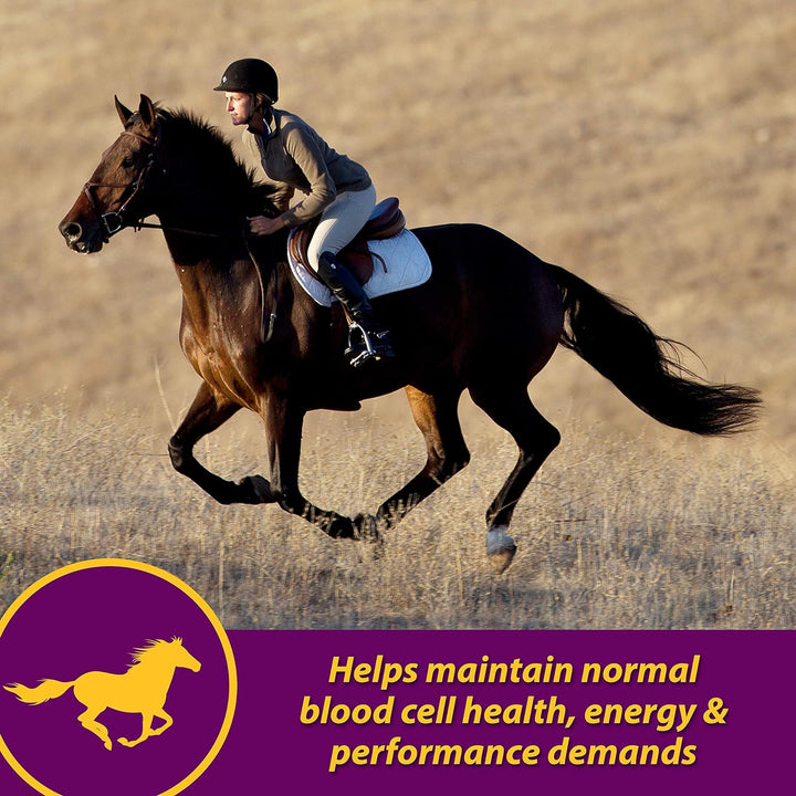 Horse Health Red Cell, Liquid Vitamin-Iron-Mineral Supplement for Horses, Helps Fill Important Nutritional Gaps in Horse'S Diet, 1 Gallon, 128 Oz., 64-Day Supply