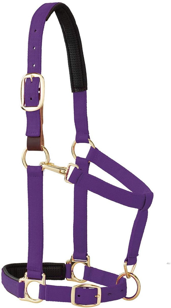 Weaver Leather Padded Breakaway Adjustable Chin & Throat Snap Halter, 1" Average Horse or Yearling Draft