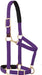 Weaver Leather Padded Breakaway Adjustable Chin & Throat Snap Halter, 1" Average Horse or Yearling Draft
