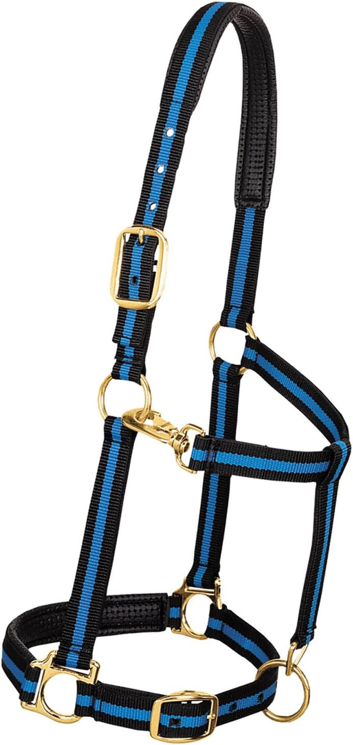 Weaver Leather Padded Adjustable Nylon Horse Halter