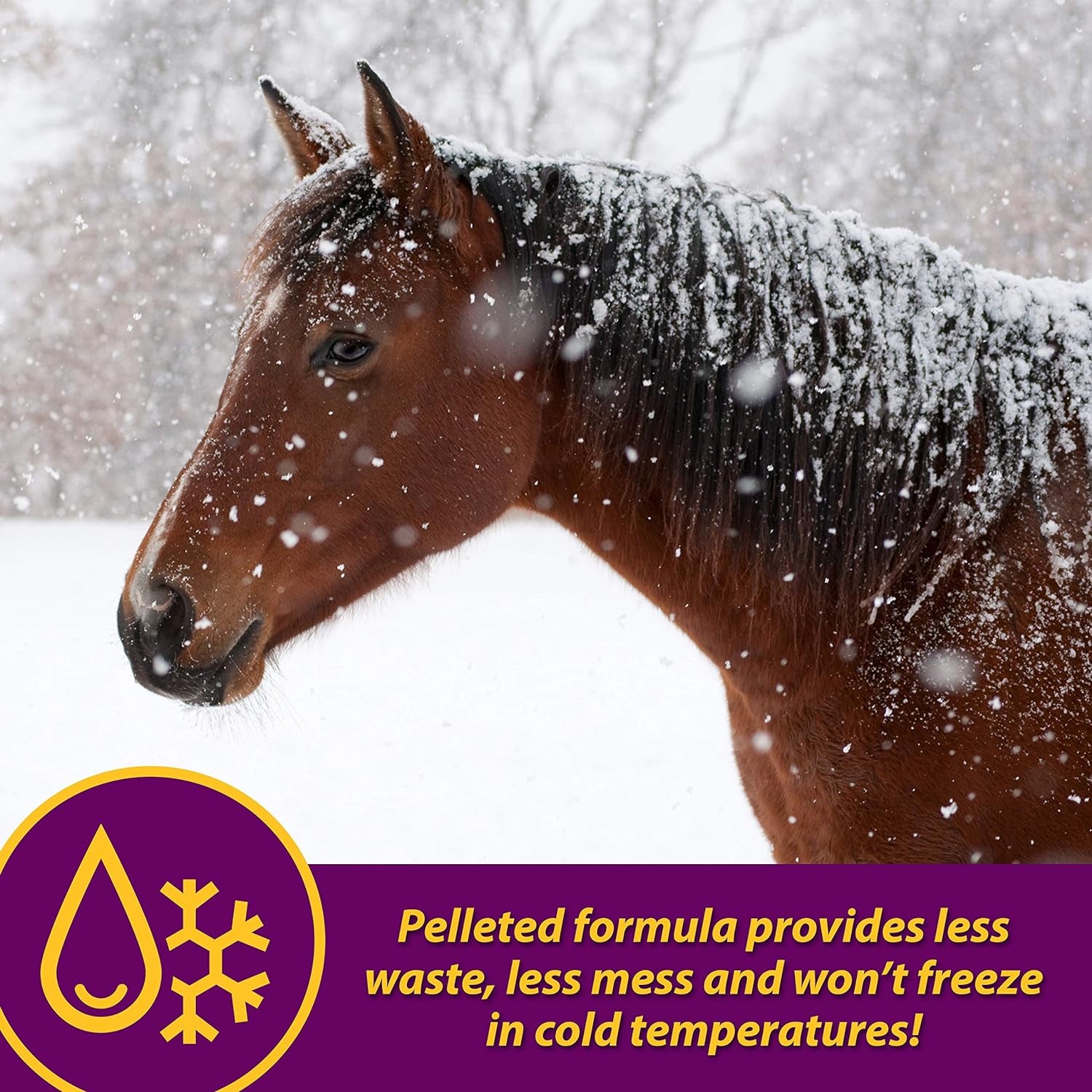 Horse Health Red Cell Pellets, Vitamin-Iron-Mineral Supplement for Horses, Helps Fill Important Nutritional Gaps in Horse'S Diet, 4 Lbs., 64-Day Supply
