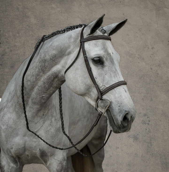 Suffolk Hunter Bridle, Brown