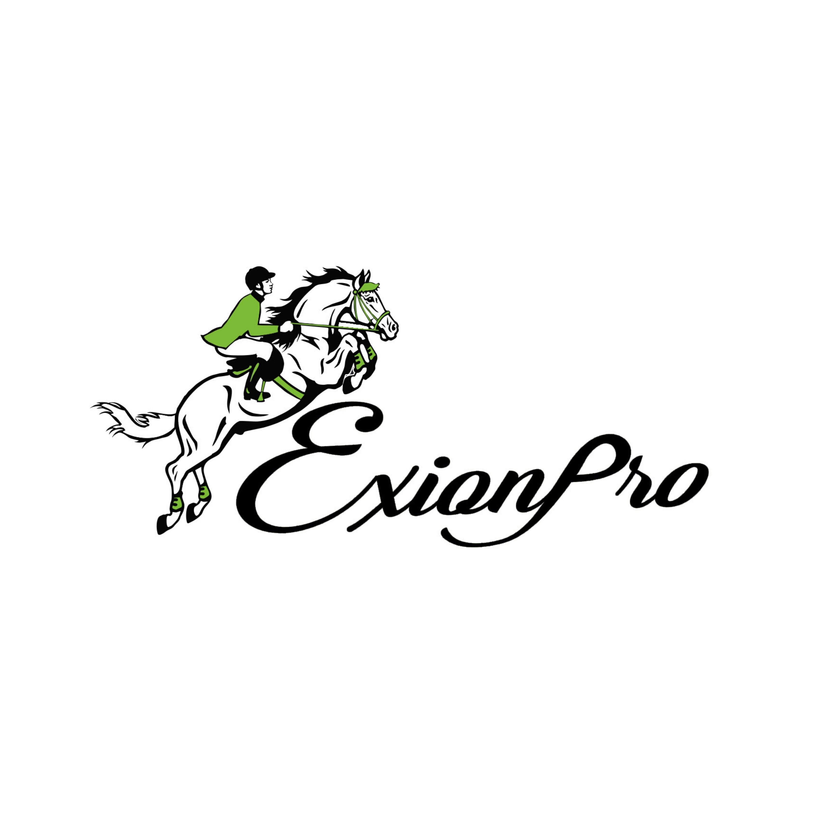 ExionPro Spanish Fancy Belt