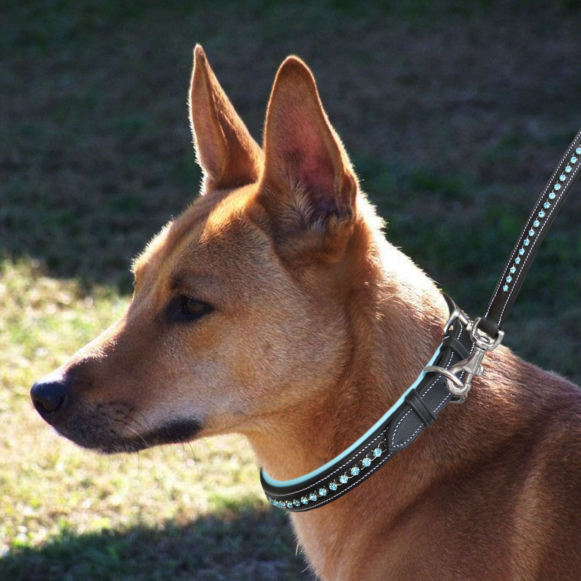 ExionPro Blue Bling Dog Leash