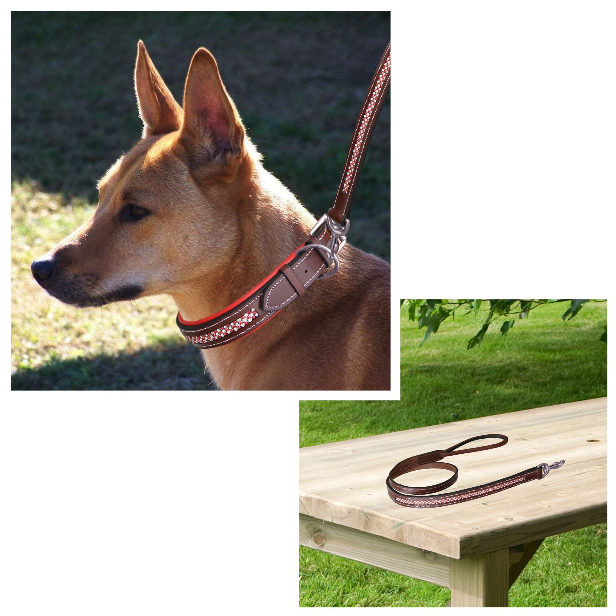 ExionPro Red Bling Padded Dog Leash