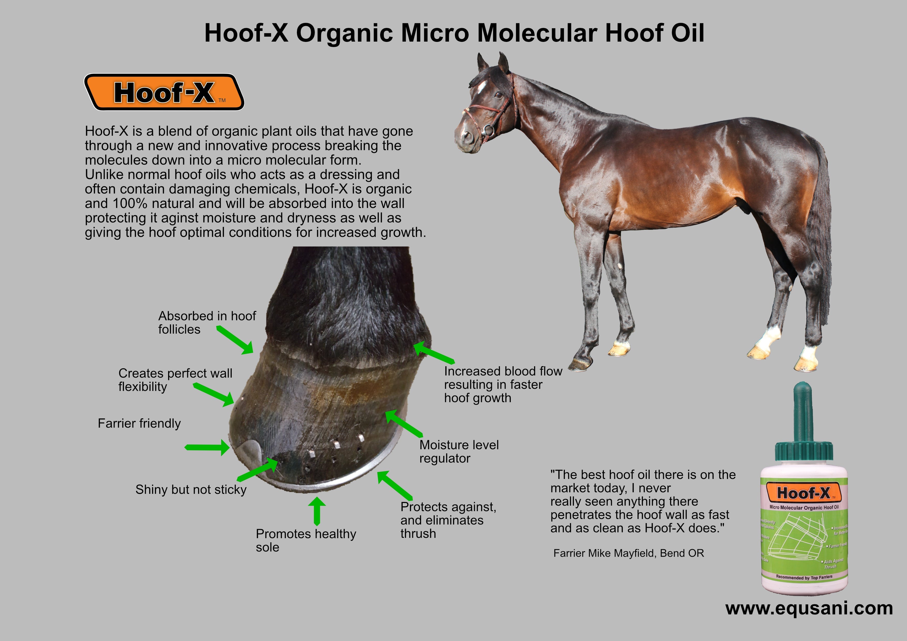 Hoof-X – All-Natural Hoof Oil for Healthy Hoof Care