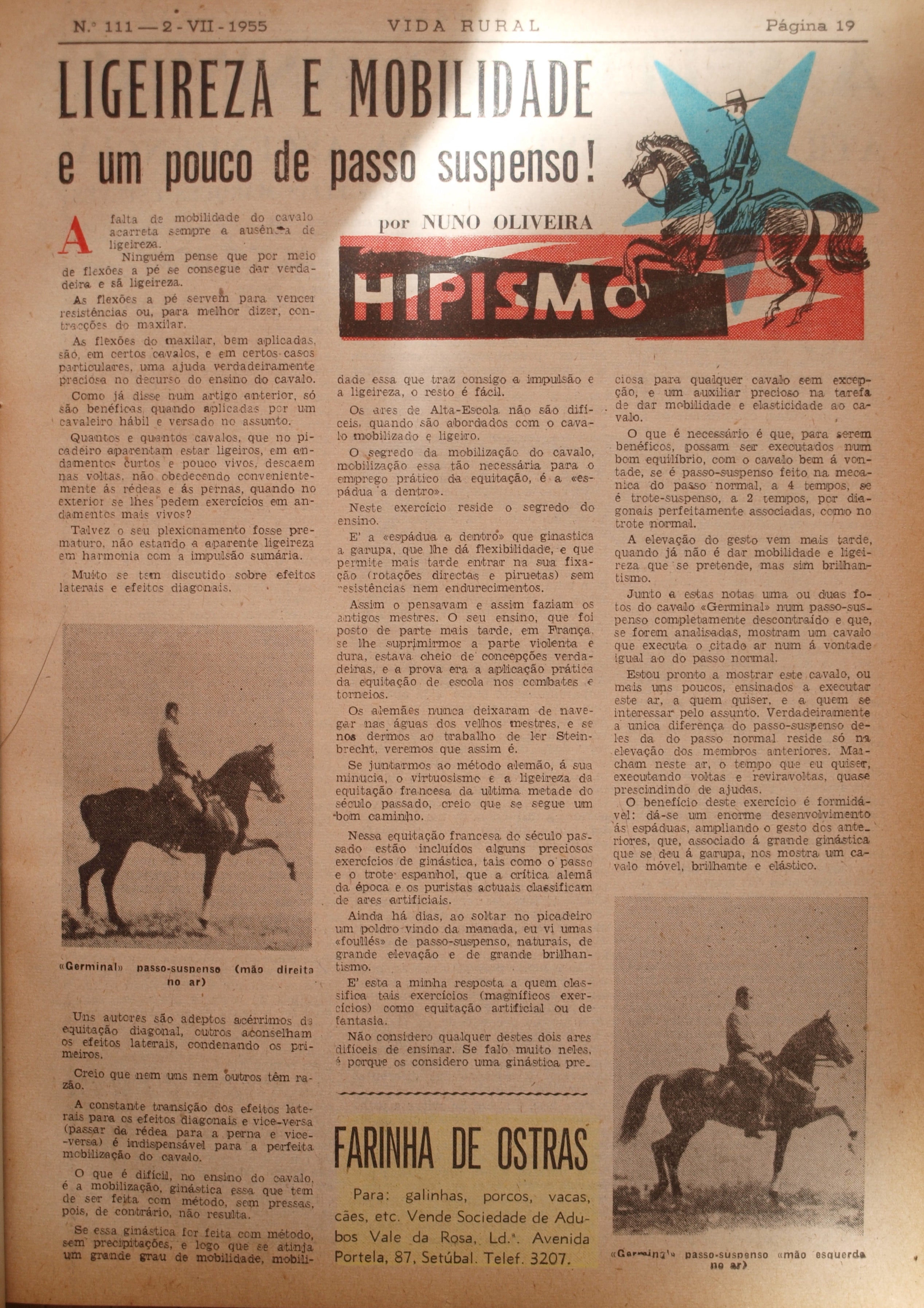 Equestrian Art: The Collected Early Writings (1951-1956) by Master Nuno Oliveira