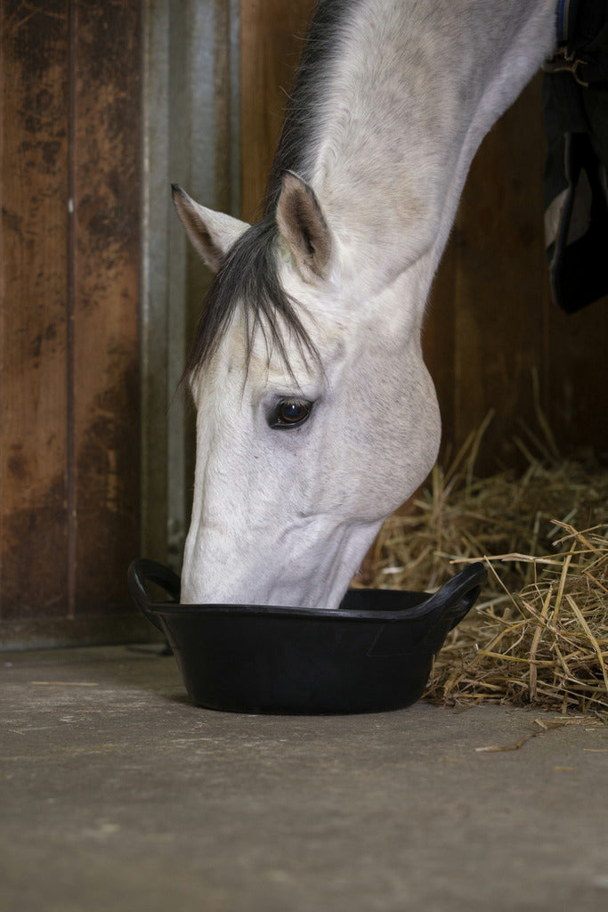 Flex Feeding Bucket