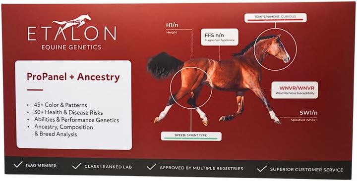 Etalon Equine Genetics Propanel + Ancestry Horse DNA Test, Genetic Testing plus Ancestry (70+ Traits) - Identify Equine Breed Composition & DNA - Test for Coat Color, Diseases, Abilities