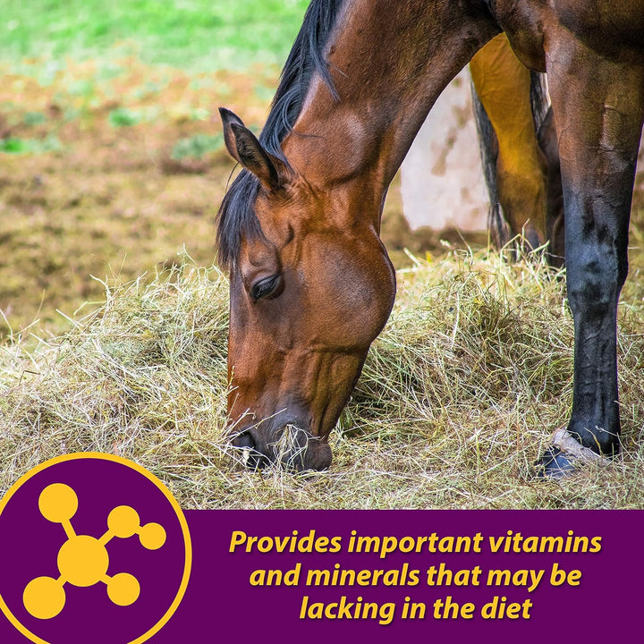 Horse Health Red Cell Pellets, Vitamin-Iron-Mineral Supplement for Horses, Helps Fill Important Nutritional Gaps in Horse'S Diet, 4 Lbs., 64-Day Supply