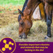Horse Health Red Cell Pellets, Vitamin-Iron-Mineral Supplement for Horses, Helps Fill Important Nutritional Gaps in Horse'S Diet, 4 Lbs., 64-Day Supply