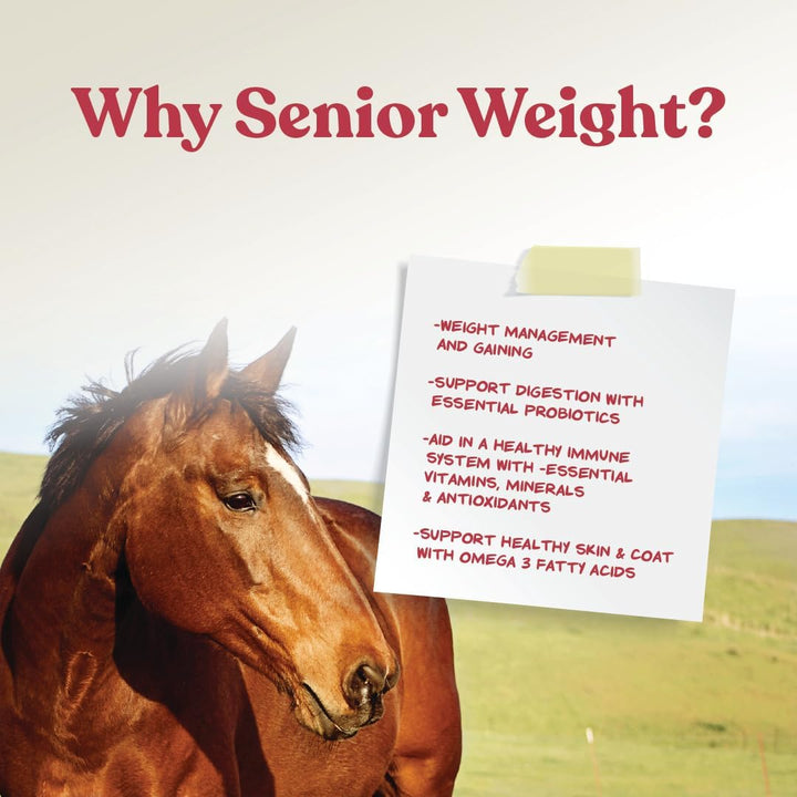 Weight Accelerator for Senior Horses - Made with Omega 3 Fatty Acids - Formulated with Flaxseed - Weight Gain Supplement for Horses - 8 Lbs