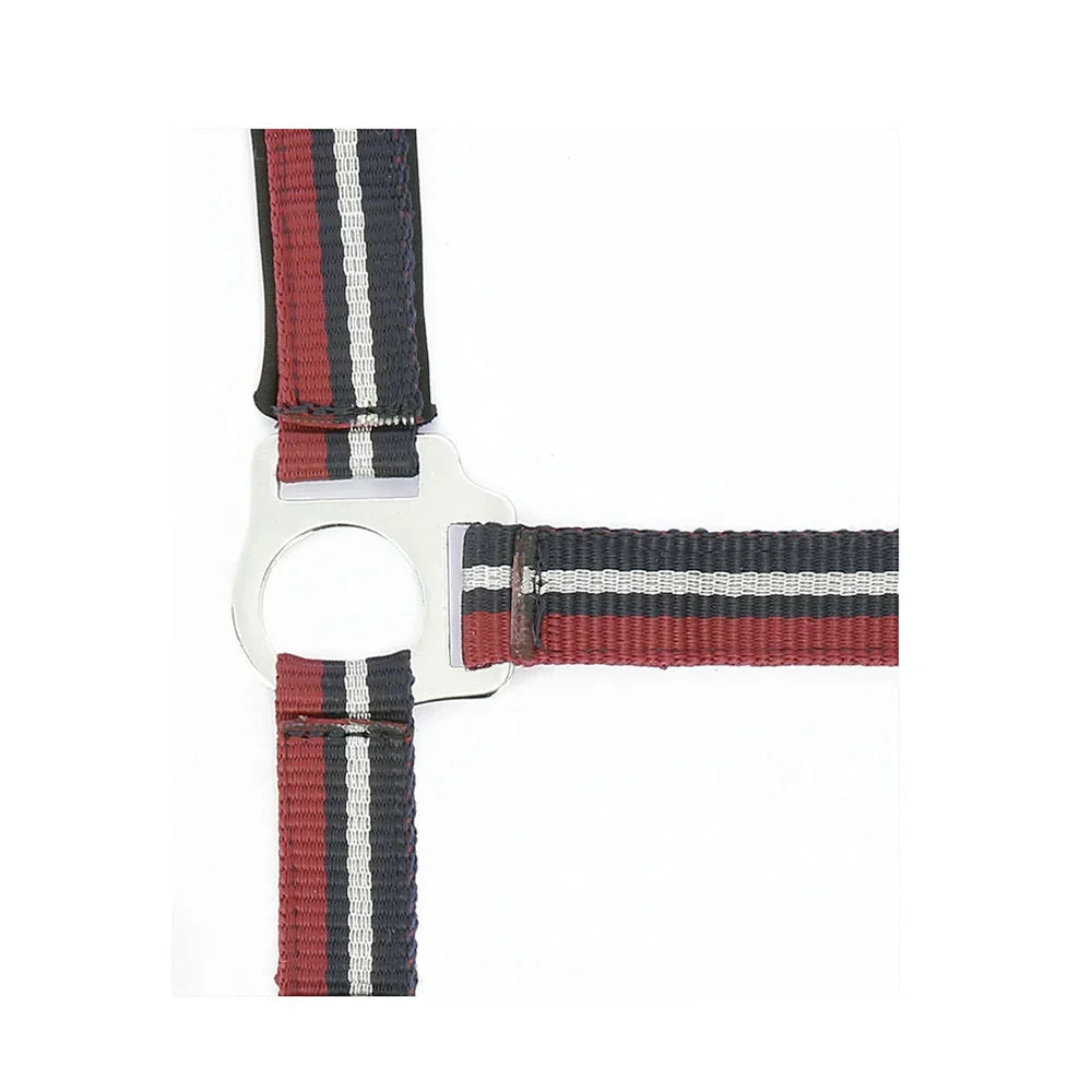 Norton Brillant Headcollar + Lead Rope