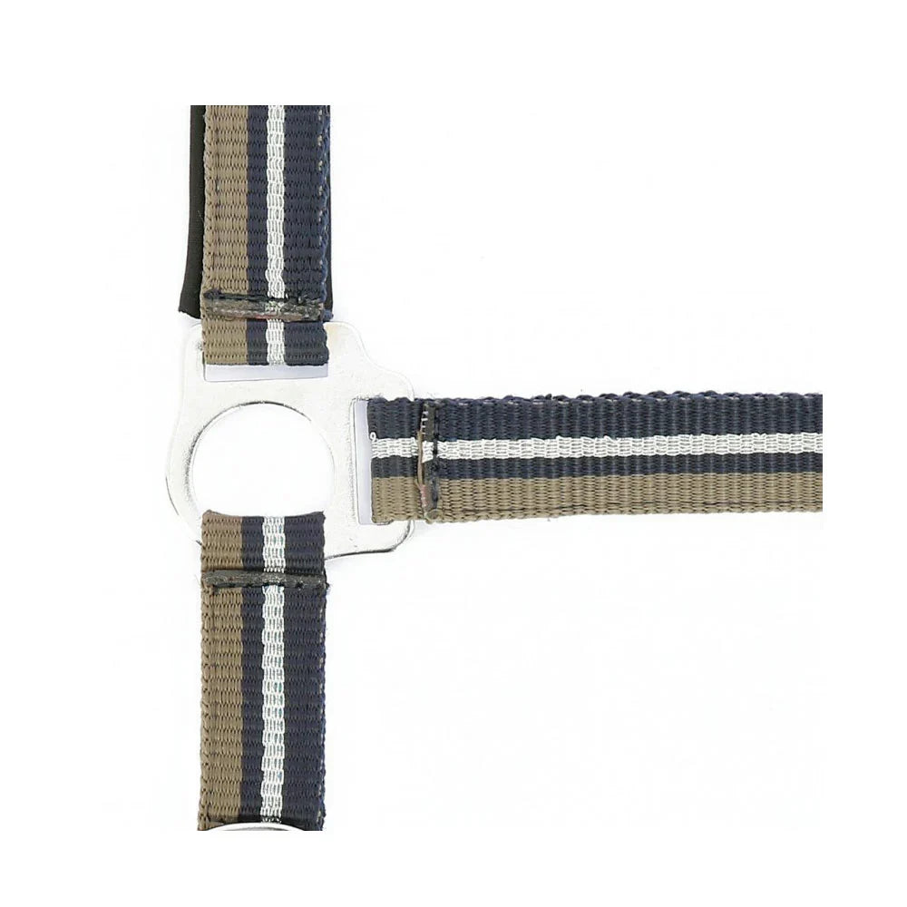 Norton Brillant Headcollar + Lead Rope