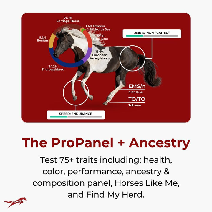 Etalon Equine Genetics Propanel + Ancestry Horse DNA Test, Genetic Testing plus Ancestry (70+ Traits) - Identify Equine Breed Composition & DNA - Test for Coat Color, Diseases, Abilities