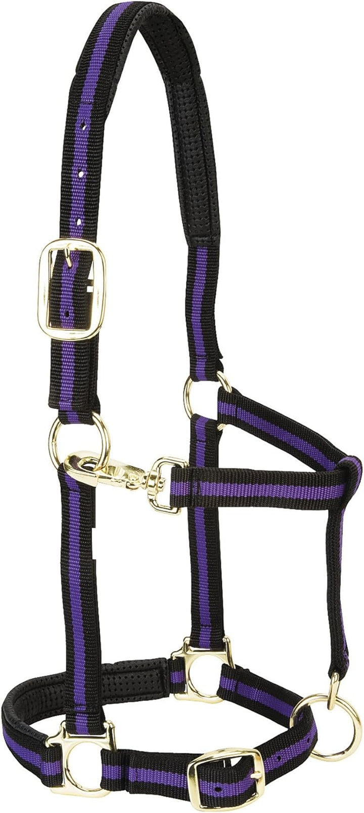 Weaver Leather Padded Adjustable Nylon Horse Halter