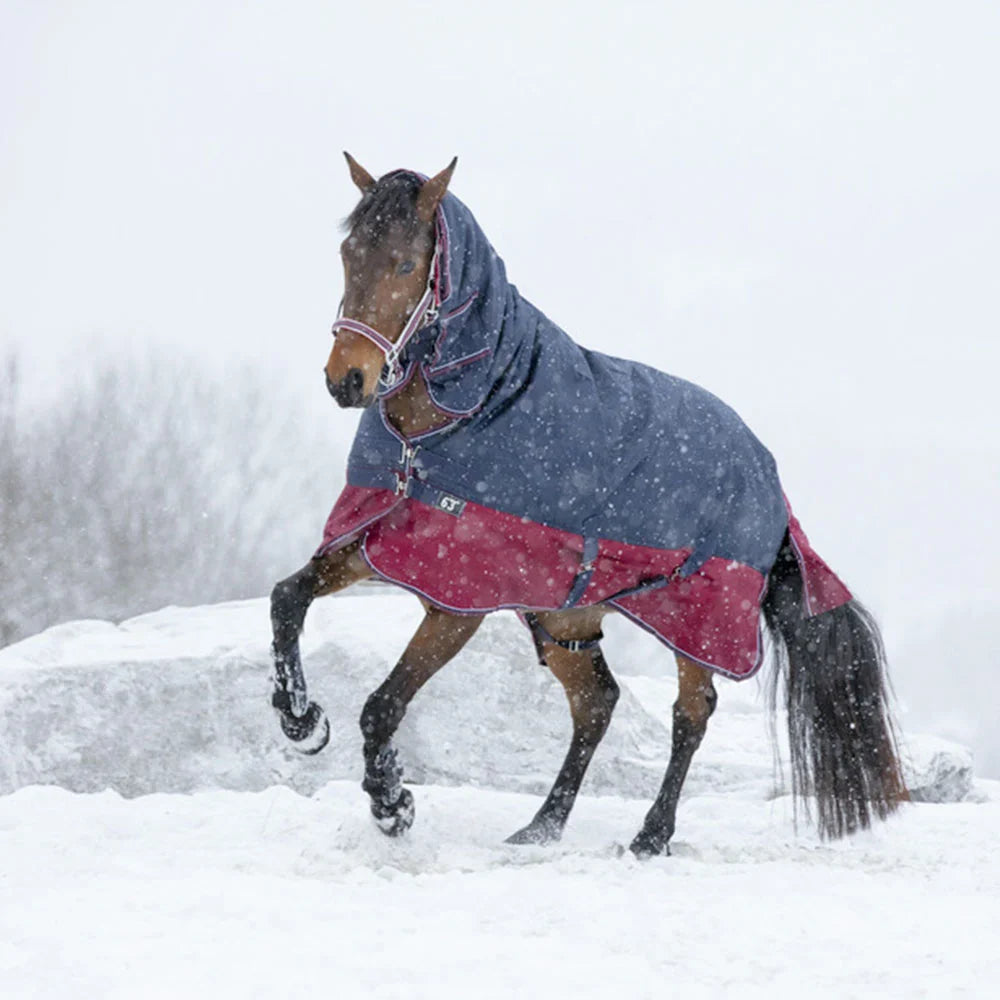 Equitheme Tyrex 1200 D Combo Turnout Rug
