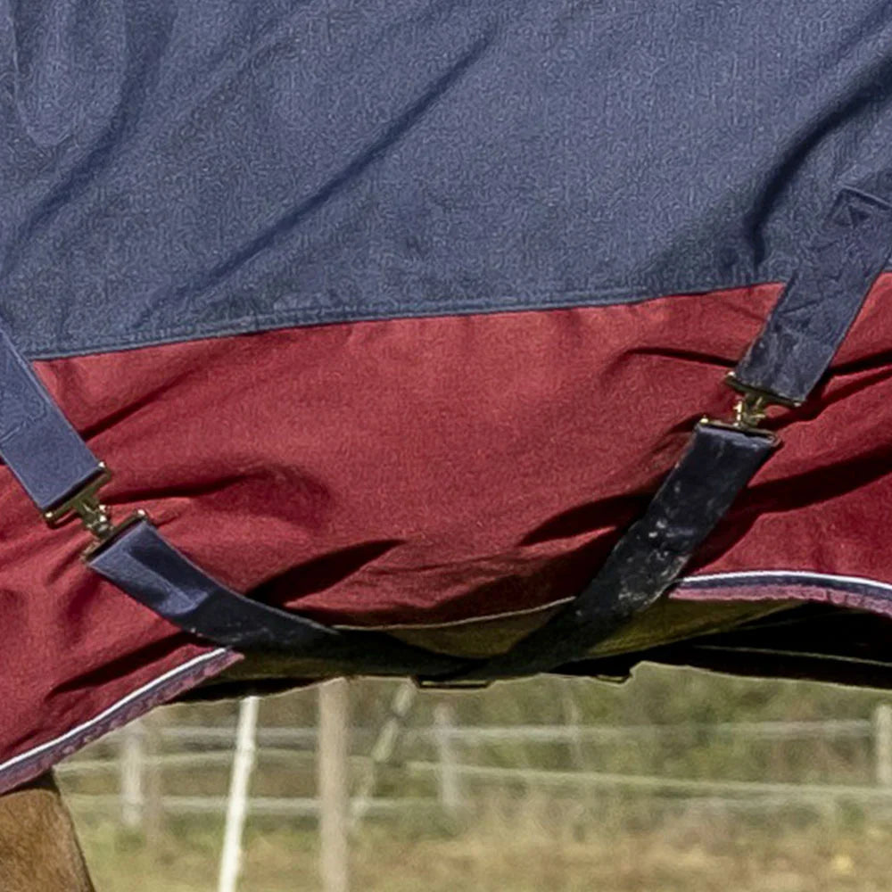 Equitheme Tyrex 1200 D Combo Turnout Rug